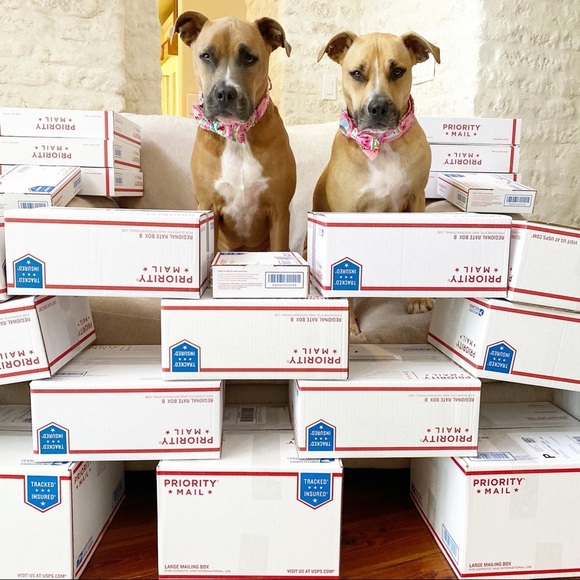 FOLLOW MY CUTE PAWSH ASSISTANTS! πΆπΆπππ - Picture 7 of 16